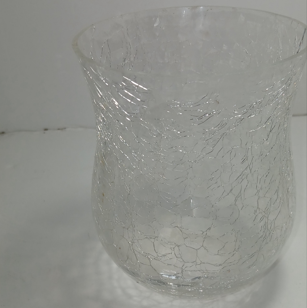 Elegant Clear Glass Vase